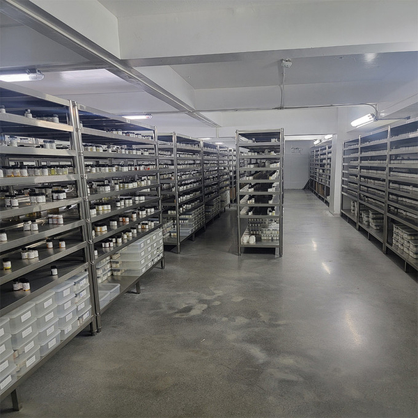 Guangzhou plant fragrance Co., Ltd linha de produção do fabricante