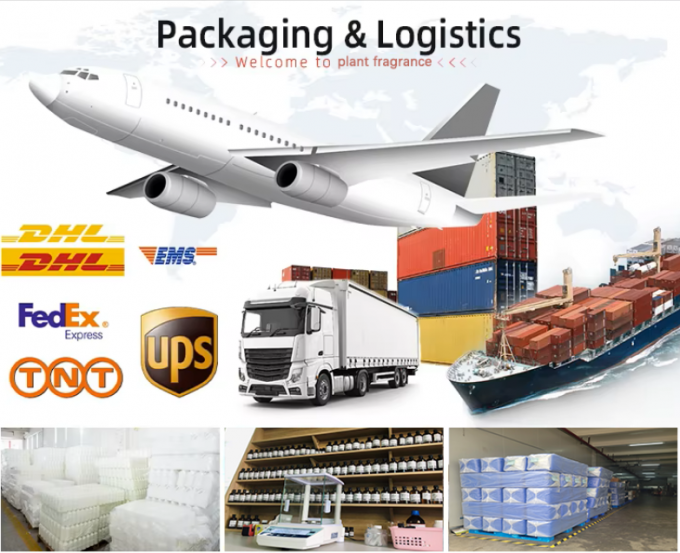 Concentrated Good Girl Fragrance Perfume Oils With Free Sample 11