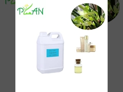 Perfumes para cuidados diários da pele Perfumes claros de orquídea Óleo essencial para aromatizantes industriais