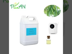 Eucalyptus Diffuser Fragrances Pure Natural France Óleo de Árvore de Chá Fragrância