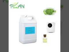 Árvore de Chá Natural Pura Fragrância de Chá Branco Esença Diffusor de Óleo Aromaterapia Fragrâncias