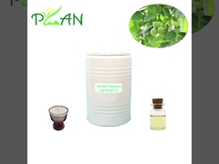 Amostragem grátis Essência de madeira de noz pura Aceite de candelas líquidas amarelo