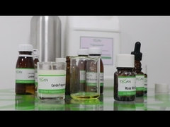 Amostragens grátis Velas perfumadas Rosa de hortelã Esencia de fragrância Concentrada