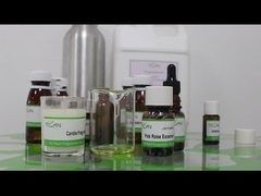 Amostragens Gratuitas Velas Perfumadas Rosa Rosa Fragrância Essência Amigável ao Ambiente