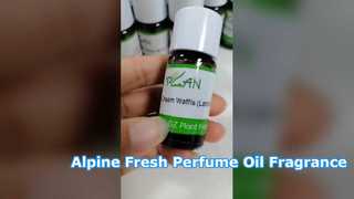 Óleo perfumado Silver Mountain Water para fabricantes