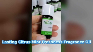 Óleo de perfume de menta cítrica, frescor duradouro