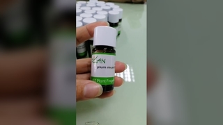 Essência de fragrância True Love para perfumes e cuidados