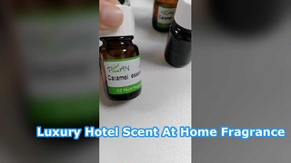 Transforme sua casa com óleo perfumado para lobby de hotel de luxo