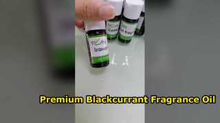 Óleo de fragrância de groselha preta premium para velas e difusores