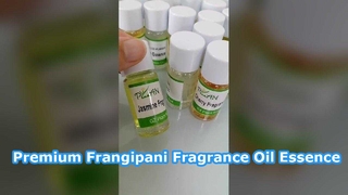 Óleo de fragrância de frangipani premium para velas e difusores