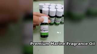 Mar Eterna Fragrance Oil Premium Perfume Marinho para Perfumes