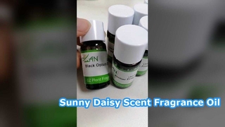 Aroma caseiro de longa duração com óleo de fragrância de margarida