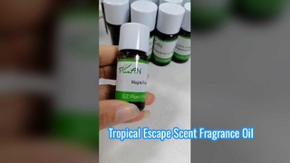 Essência de fragrância de vela de flor de gengibre