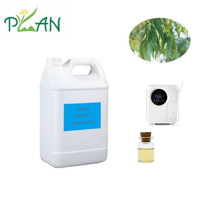 Eucalyptus Diffuser Fragrances Pure Natural France Óleo de Árvore de Chá Fragrância