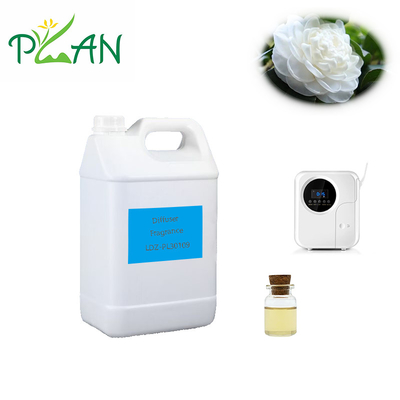 Óleo de essência de chá branco 100% puro Óleos essenciais florais perfumados