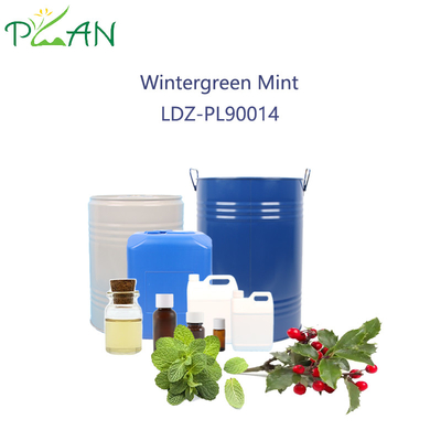 Perfume de hortelã verde-verde para pasta de dentes 2,5 litros / garrafa
