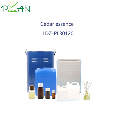Cedar Essence Fragrância Aroma Perfumes Óleos Cool Place Store