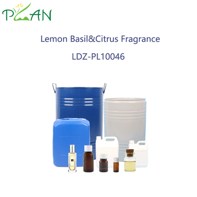 Basílica de limão e essência de cítricos para perfume de alta pureza