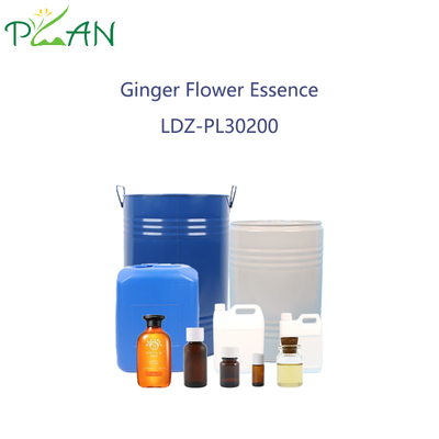 Essença de Flor de gengibre de alta qualidade para bastões de cana de difusão