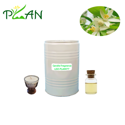 Concentrado de Óleo de Fragrância para Vela Essência de Flor de Laranjeira - Fabricado nos EUA