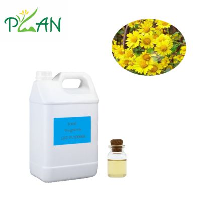 Óleo essencial de crisântemo selvagem natural com aroma complexo profundo para bebidas de ervas e funcionais