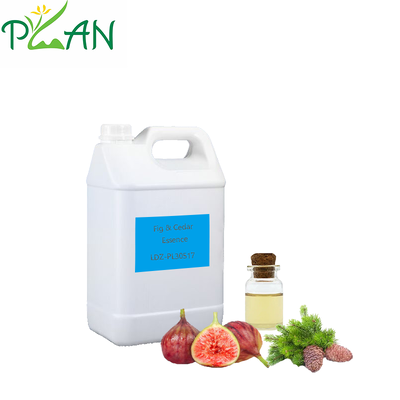 Difusor de Amostra Grátis Concentrado de Figo e Óleo de Essência de Cedro para Bastão de Reed & Candela Perfumada Fria & Difusor de Fragranças