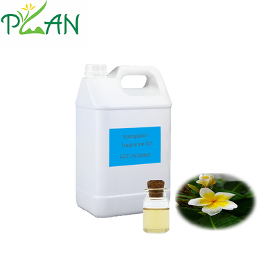 Óleo de Frangipani para bastão de cana e vela perfumada fria e fabricação/produção de fragrâncias