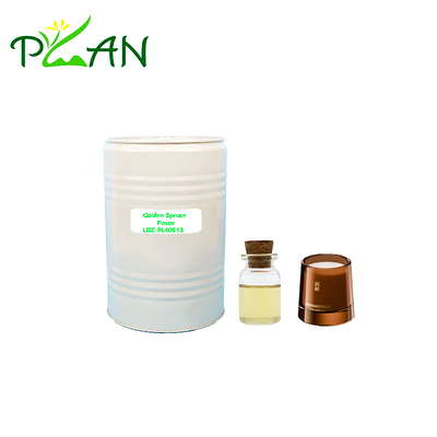 Óleos perfumados para velas de venda por grosso Óleos perfumados de abeto-dourado Óleos perfumados para processos quentes / frios Velas perfumadas