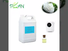 Óleo de essência de chá branco 100% puro Óleos essenciais florais perfumados